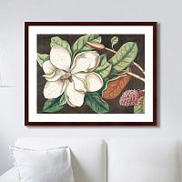картина: beauty bloom №1, 1732г. в Томске