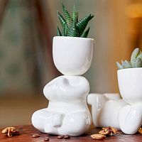 набор для выращивания eco йог в Томске