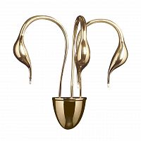 бра lightstar cigno collo 751632 в Томске