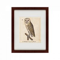 картина: one owl, 1560 в Томске