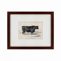 картина: a west highland bull, 1840 в Томске