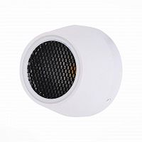 ландшафтный светодиодный светильник st luce pedana sl097.555.01 в Томске