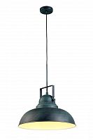 подвесной светильник arte lamp martin a5213sp-1bg в Томске