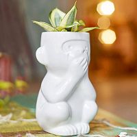 горшок для растений eco молчун в Томске