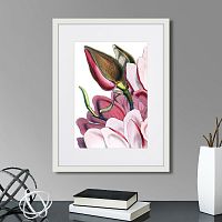 картина: himalaya plants pink-flower on white iv, 1869г. в Томске
