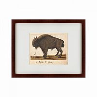картина: bison, 1560 в Томске
