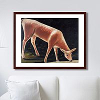 картина: roe deer drinking from a stream, 1901г. в Томске