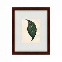 картина: the leaf, 1871 в Томске