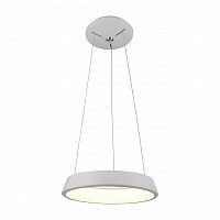 подвесной светодиодный светильник arte lamp a6240sp-1wh в Томске