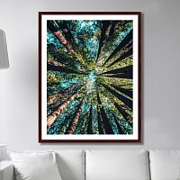 картина: deep forest в Томске