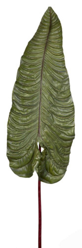 декор alocasia в Томске