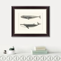 картина: the california gray whale (rhachieanectes claucus), 1857 в Томске