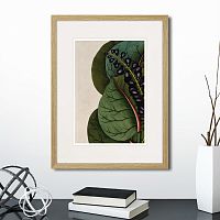 картина: exotic plants of the world №7, 1815г. в Томске