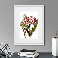картина: caribian flora pink plumeria flower branch, 1740г. в Томске