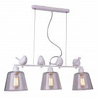 подвесная люстра arte lamp passero a4289sp-3wh в Томске