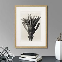 картина: botanical philosophy of forms №8, 1912г. в Томске
