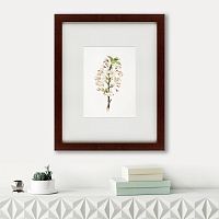картина: pear tree flowers (pyrus calleryana), 1830 в Томске