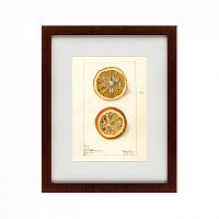 картина: watercolor collection, drawing №5, 1910 в Томске