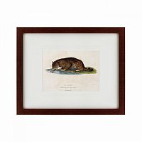 картина: a panther drinking, 1830 в Томске