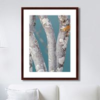 картина: trees on the galapagos islands, ecuador no1 в Томске