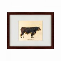 картина: the bull, 1797 в Томске