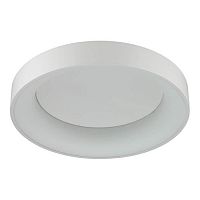 потолочный светодиодный светильник odeon light sole 4062/40cl в Томске