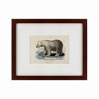 картина: white polar bear on an ice, 1830 в Томске