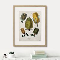 картина: exotic plants of the world №1, 1815г. в Томске