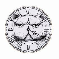 тарелка кот на циферблате в Томске