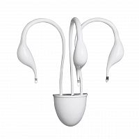 бра lightstar cigno collo wt 751636 в Томске