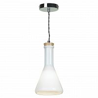 подвесной светильник lussole loft grlsp-9635 в Томске