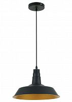 подвесной светильник odeon light kasl 3378/1 в Томске