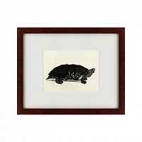 картина: an arakan forest turtle, 1873 в Томске