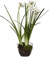 декор allium в Томске