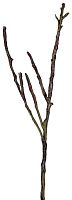декор dry branches в Томске