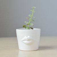 набор для выращивания eco мини-кашпо «губы» в Томске