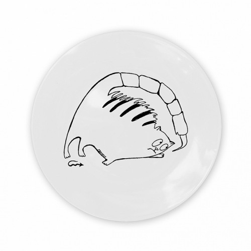 тарелка кот-скорпион в Томске