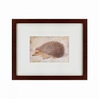 картина: a hedgehog, 1584 в Томске