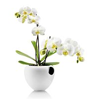 горшок для орхидеи orchid pot белый в Томске
