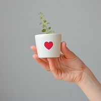 набор для выращивания eco мини-кашпо «сердце» в Томске