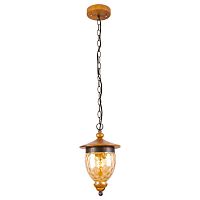 подвесной светильник arte lamp catena a6711sp-1br в Томске