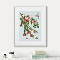 картина: himalaya plants red flower branch, 1869г. в Томске
