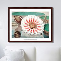 картина: a gigantic water lily in bloom, 1870г. в Томске