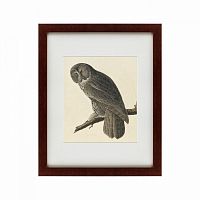 картина: great gray owl, 1834 в Томске