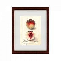 картина: watercolor collection, drawing №4, 1905 в Томске