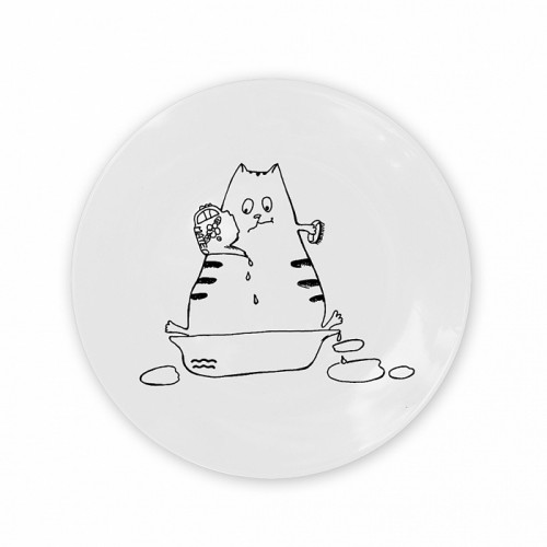 тарелка кот-водолей в Томске