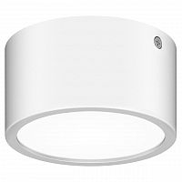 уличный светодиодный светильник lightstar zolla 380163 в Томске