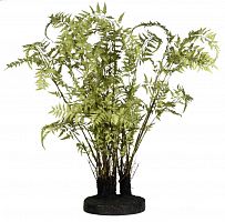 декор ferns в Томске