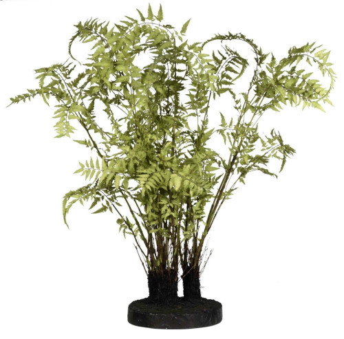 декор ferns в Томске