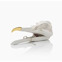 шкатулка для украшений bird skull (белый) в Томске